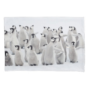 Cutest Baby Animals Emperor Penguin Chicks Pillowcase