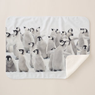 Cutest Baby Animals   Emperor Penguin Chicks Sherpa Blanket