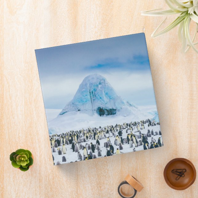 Cutest Baby Animals | Emperor Penguin Colony Binder (In Situ)