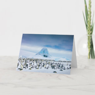Cutest Baby Animals Emperor Penguin Colony Card
