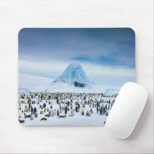 Cutest Baby Animals   Emperor Penguin Colony Mouse Pad