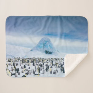 Cutest Baby Animals   Emperor Penguin Colony Sherpa Blanket