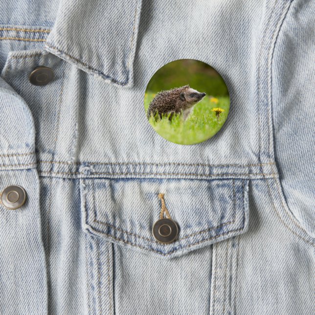 Cutest Baby Animals | European Hedgehog 2 Inch Round Button (In Situ)