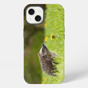 Cutest Baby Animals European Hedgehog iPhone 13 Case