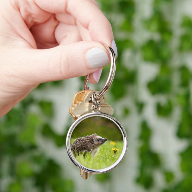 Cutest Baby Animals | European Hedgehog Keychain (Hand)