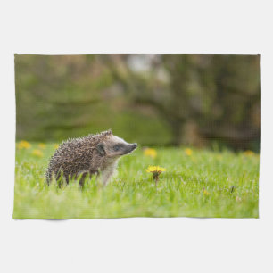 Cutest Baby Animals European Hedgehog Kitchen Towel