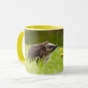 Cutest Baby Animals   European Hedgehog Mug