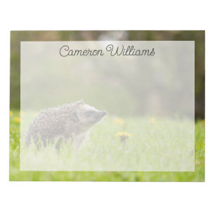 Cutest Baby Animals   European Hedgehog Notepad
