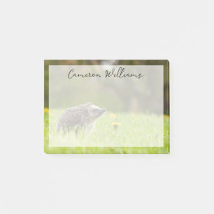 Cutest Baby Animals European Hedgehog Post-it Notes