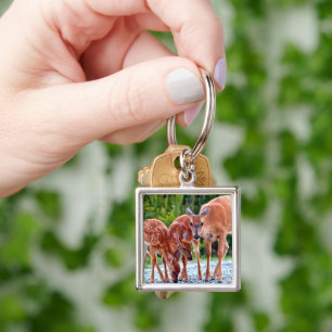 Cutest Baby Animals Fawn with Babies Keychain