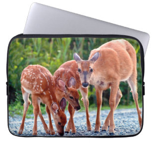 Cutest Baby Animals Fawn with Babies Laptop Sleeve
