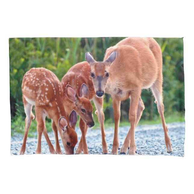 Cutest Baby Animals | Fawn with Babies Pillowcase (Front)