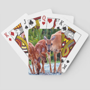 Cutest Baby Animals   Fawn with Babies Playing Cards