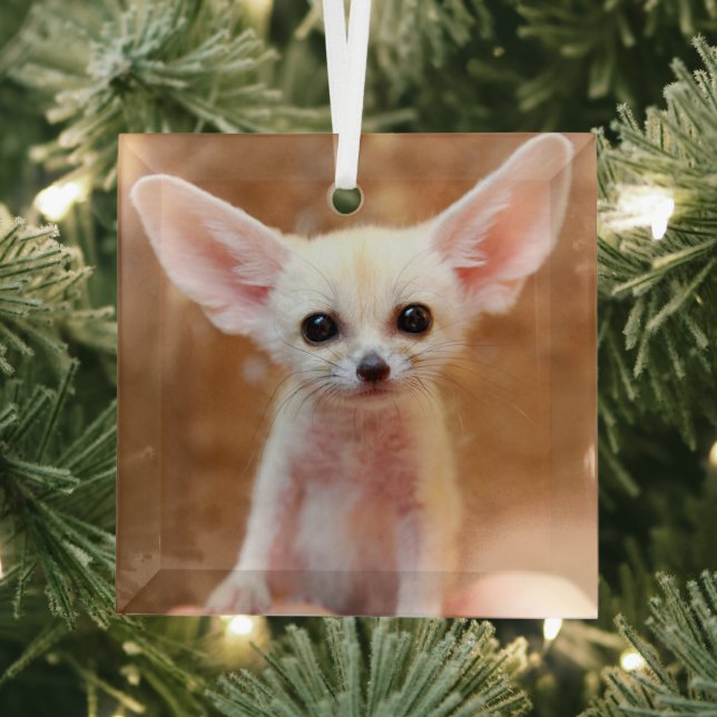 Cutest Baby Animals | Fennec Fox Glass Ornament (Insitu)