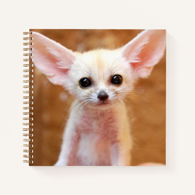 Cutest Baby Animals | Fennec Fox Notebook (Front)
