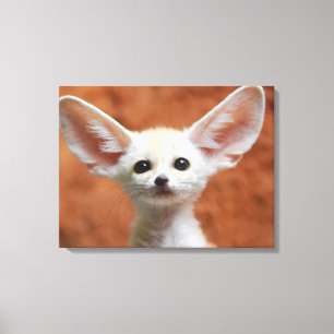 Cutest Baby Animals   Fennec Fox Pup Canvas Print