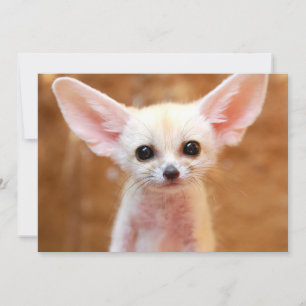 Cutest Baby Animals   Fennec Fox Thank You Card