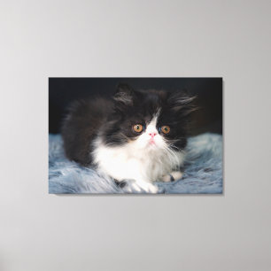 Cutest Baby Animals Fluffy B&W Kitten Canvas Print