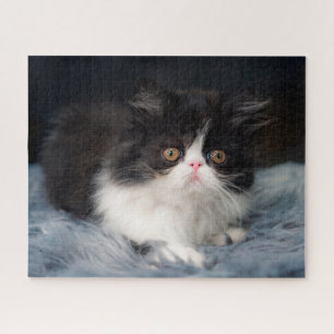 Cutest Baby Animals   Fluffy B&W Kitten Jigsaw Puzzle