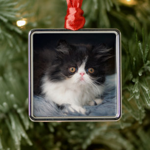 Cutest Baby Animals Fluffy B&W Kitten Metal Ornament