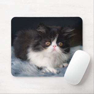 Cutest Baby Animals   Fluffy B&W Kitten Mouse Pad