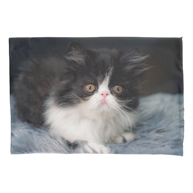 Cutest Baby Animals | Fluffy B&W Kitten Pillowcase (Front)