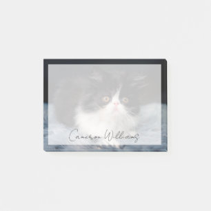 Cutest Baby Animals   Fluffy B&W Kitten Post-it Notes