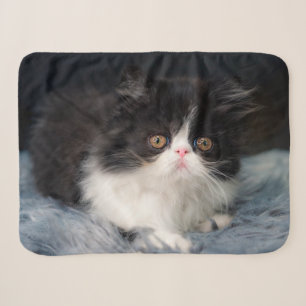 Cutest Baby Animals Fluffy B&W Kitten Sherpa Blanket