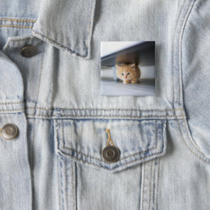 Cutest Baby Animals   Fluffy Orange Kitten 2 Inch Square Button