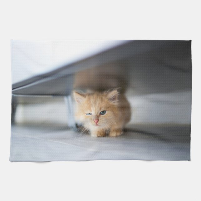 Cutest Baby Animals | Fluffy Orange Kitten Kitchen Towel (Horizontal)