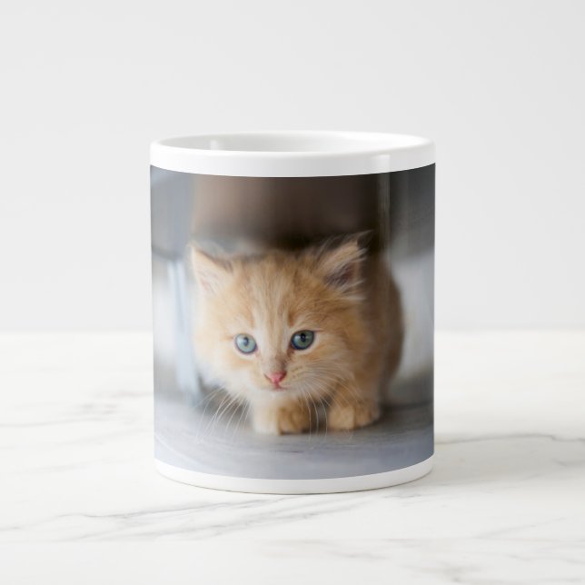 Cutest Baby Animals | Fluffy Orange Kitten Large Coffee Mug (Front)