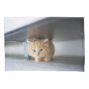 Cutest Baby Animals Fluffy Orange Kitten Pillowcase