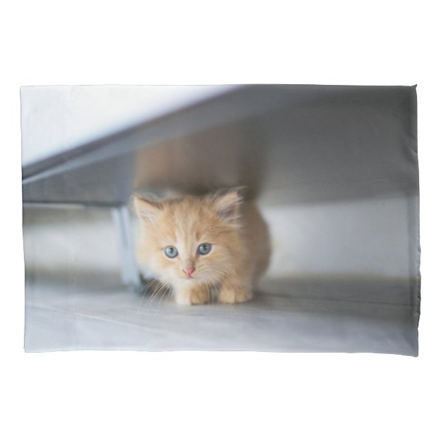Cutest Baby Animals | Fluffy Orange Kitten Pillowcase (Front)