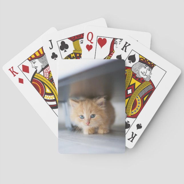 Cutest Baby Animals | Fluffy Orange Kitten Playing Cards (Back)