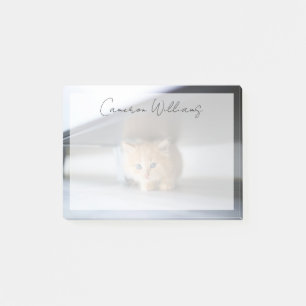 Cutest Baby Animals Fluffy Orange Kitten Post-it Notes