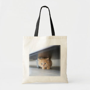 Cutest Baby Animals Fluffy Orange Kitten Tote Bag