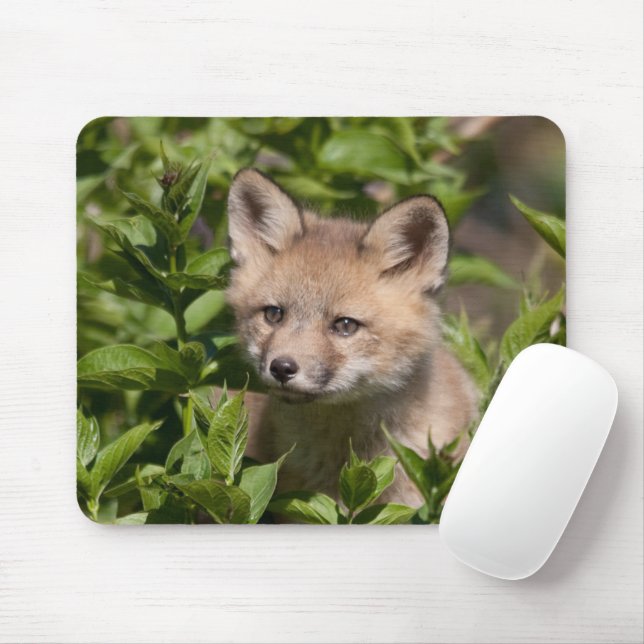 Cutest Baby Animals | Fox Kit Mouse Pad (With Mouse)