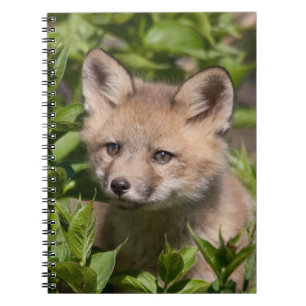 Cutest Baby Animals   Fox Kit Notebook