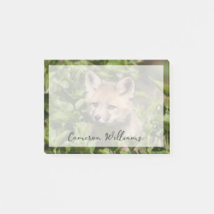 Cutest Baby Animals Fox Kit Post-it Notes