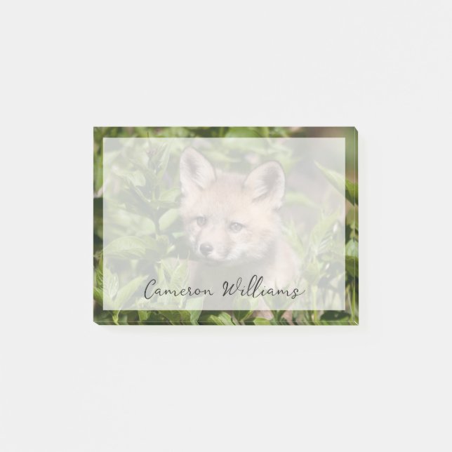 Cutest Baby Animals | Fox Kit Post-it Notes (Front)