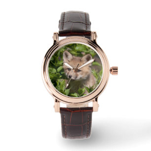 Cutest Baby Animals   Fox Kit Watch