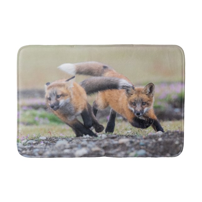 Cutest Baby Animals | Fox Pups at Play Bath Mat (Front)