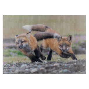 Cutest Baby Animals Fox Pups at Play Cutting Board