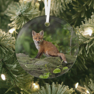 Cutest Baby Animals Foxy Smile Glass Ornament