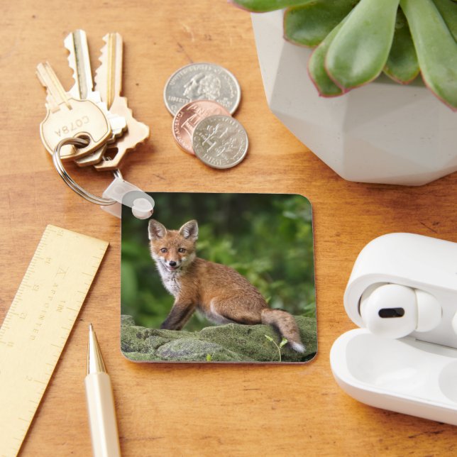 Cutest Baby Animals | Foxy Smile Keychain (Desk)