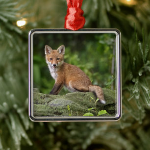 Cutest Baby Animals Foxy Smile Metal Ornament