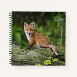Cutest Baby Animals   Foxy Smile Notebook