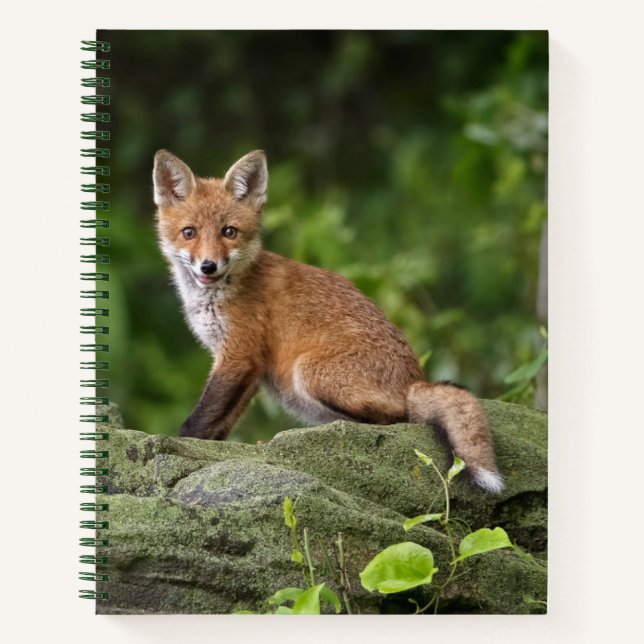 Cutest Baby Animals | Foxy Smile Notebook (Front)