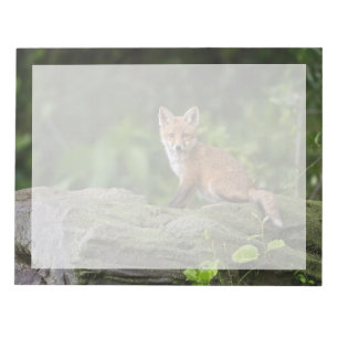 Cutest Baby Animals   Foxy Smile Notepad
