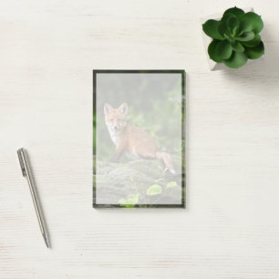 Cutest Baby Animals Foxy Smile Post-it Notes